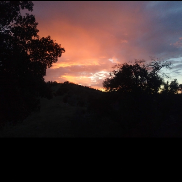 Meet your Posher, Heather - Picture 5 of 8